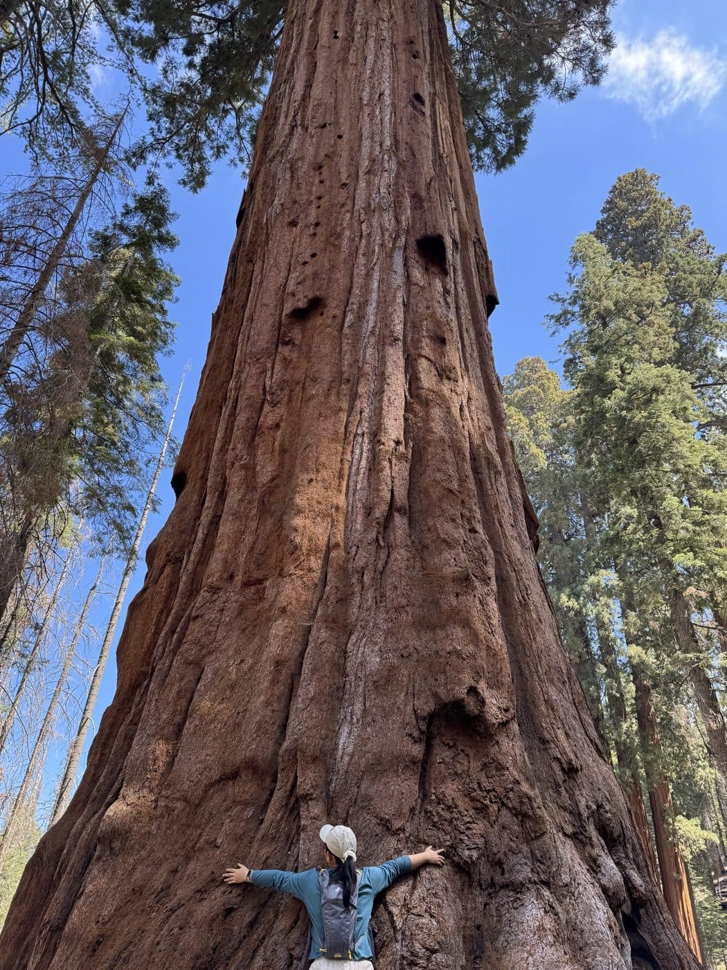 Ruoxi Zhao at Sequoia National Park