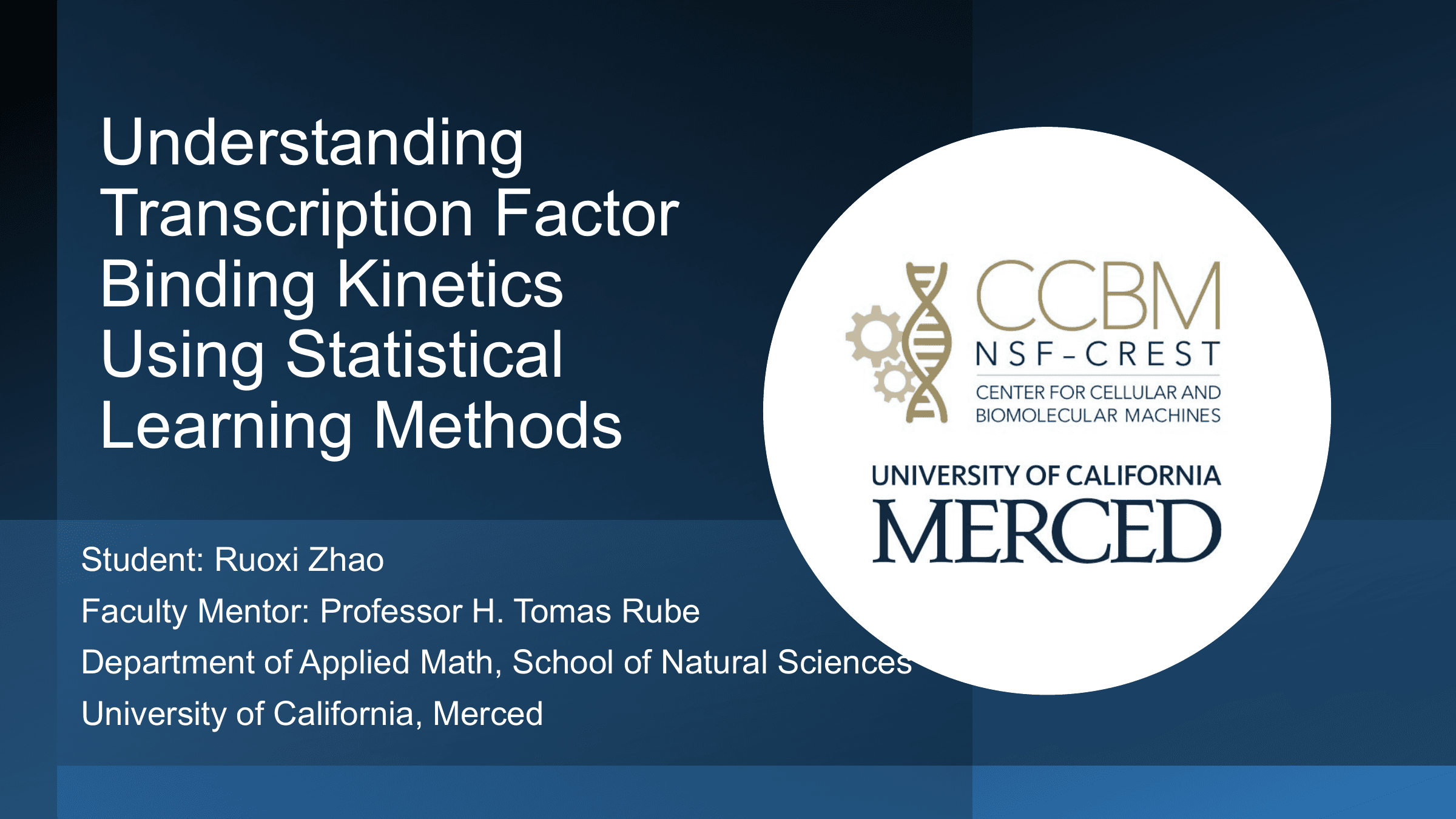 Slides preview: Understanding Transcription Factor Binding Kinetics Using Statistical Learning Methods